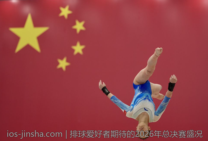 排球爱好者期待的2026年总决赛盛况