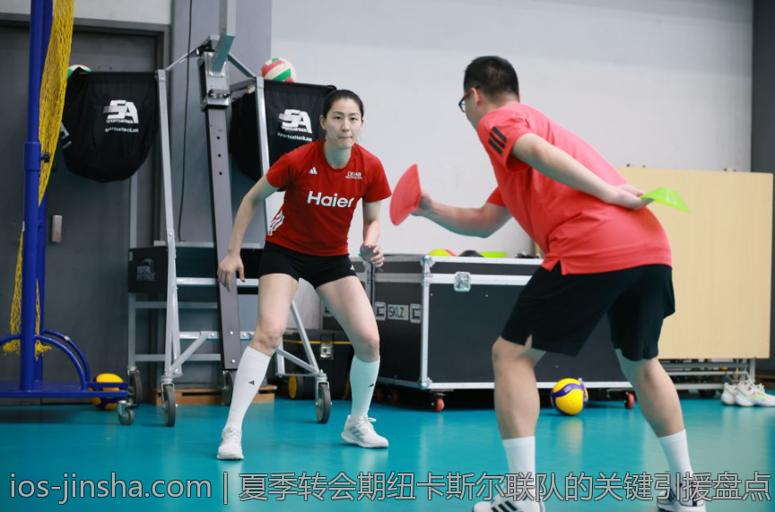 夏季转会期纽卡斯尔联队的关键引援盘点