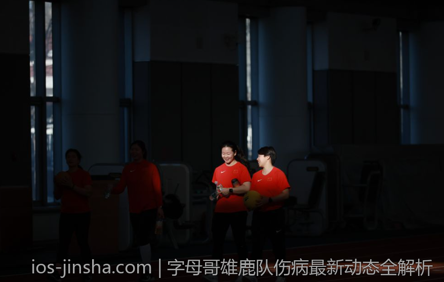 字母哥雄鹿队伤病最新动态全解析