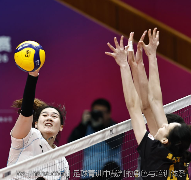 足球青训中裁判的角色与培训体系