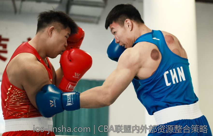 CBA联盟内外部资源整合策略