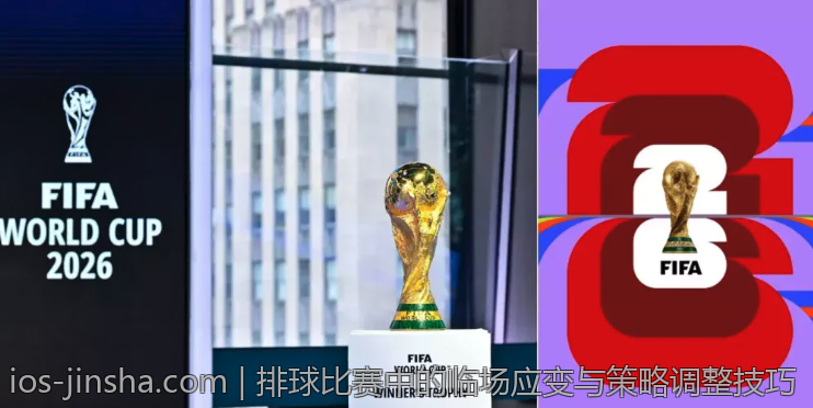 排球比赛中的临场应变与策略调整技巧