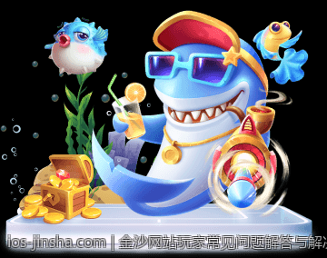 金沙网站玩家常见问题解答与解决方案